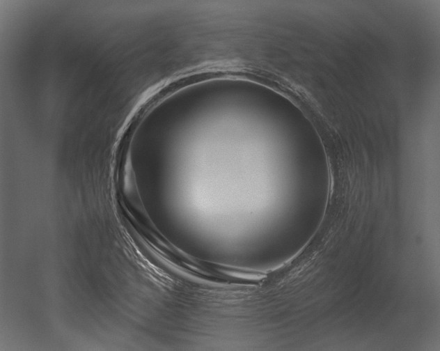 X0000052631168200507011312