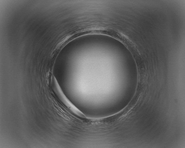 X0000052631169200507011312