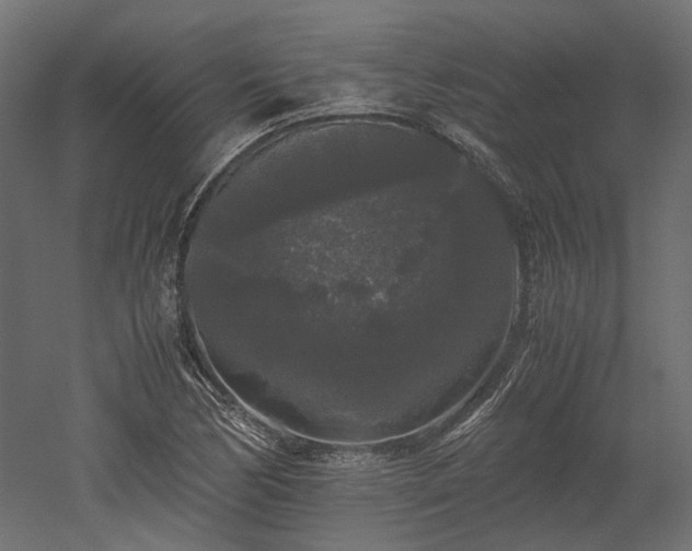 X0000052631170200507011312