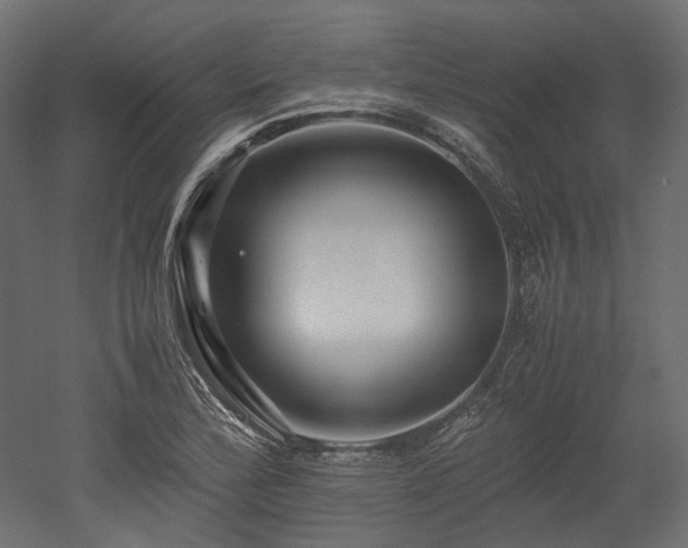 X0000052631172200507011312