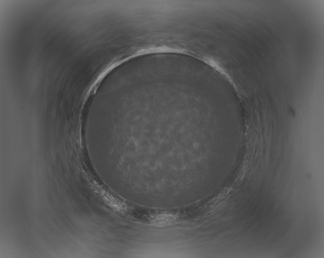 X0000052631173200507011312