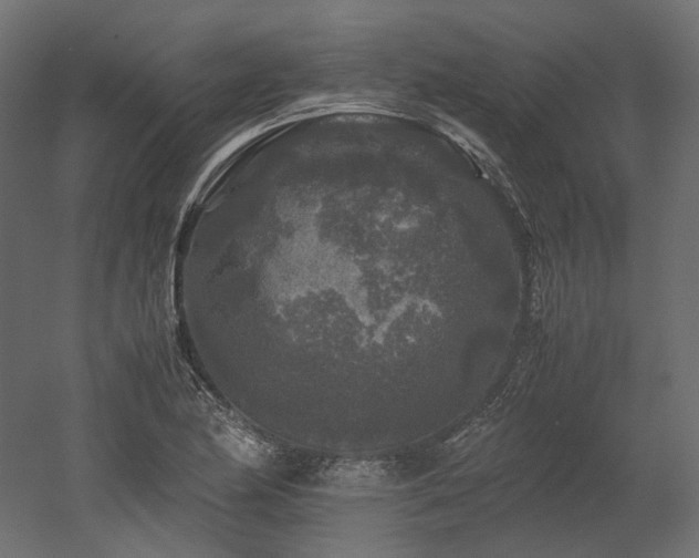 X0000052631174200507011312