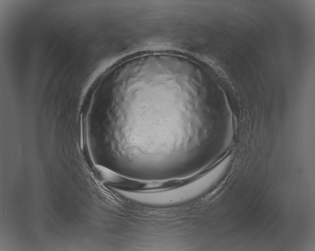 X0000052631175200507011312
