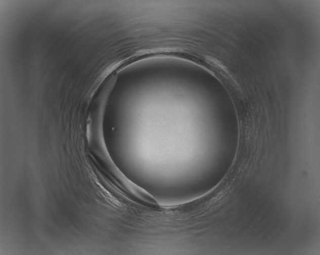 X0000052631177200507011312