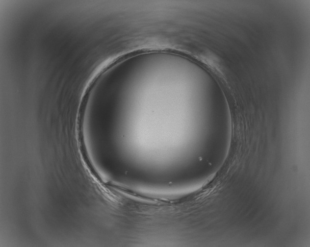 X0000052631183200507011312