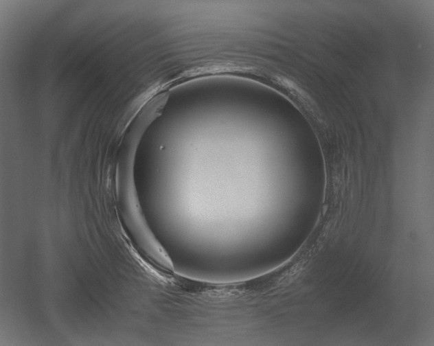 X0000052631185200507011312