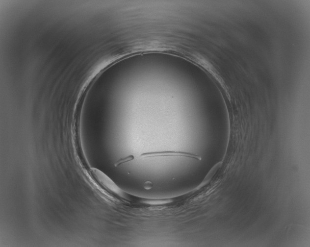 X0000052631187200507011312