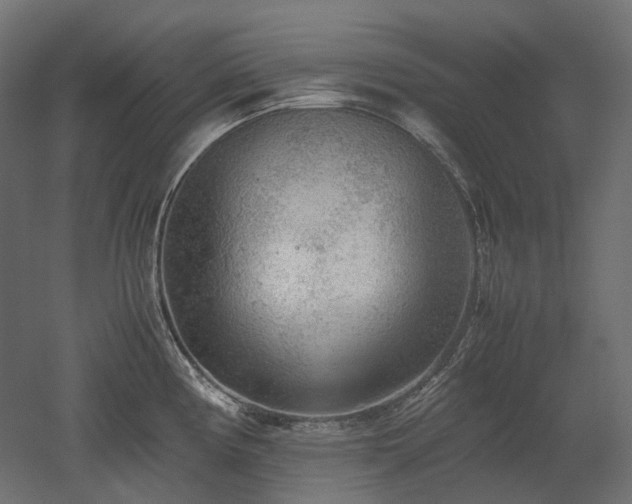 X0000052631194200507011312