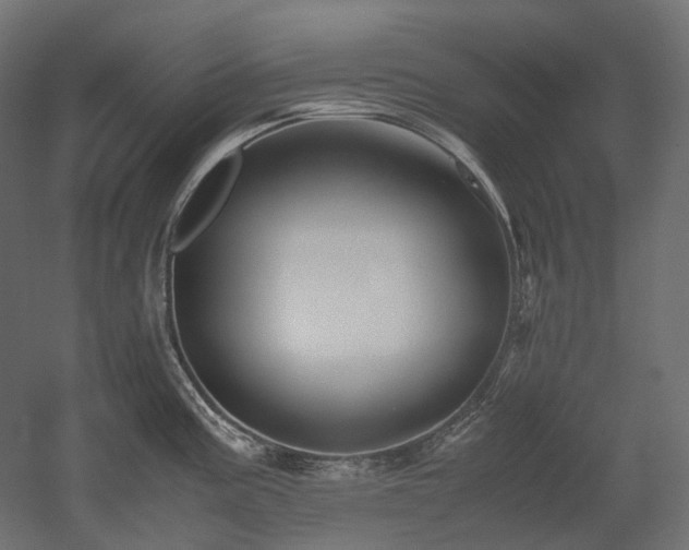 X0000052631195200507011312