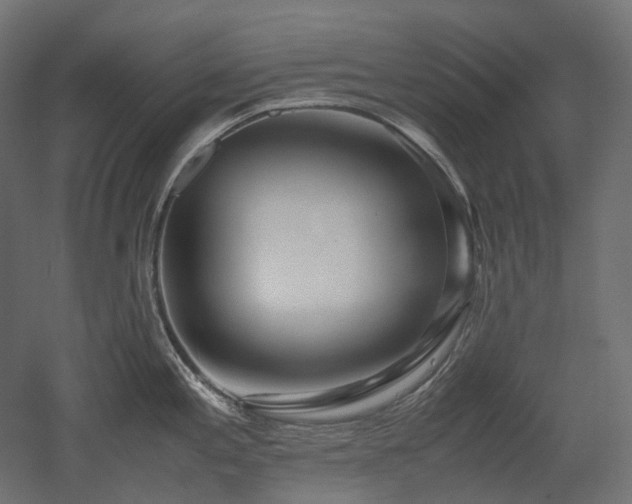 X0000052631197200507011312
