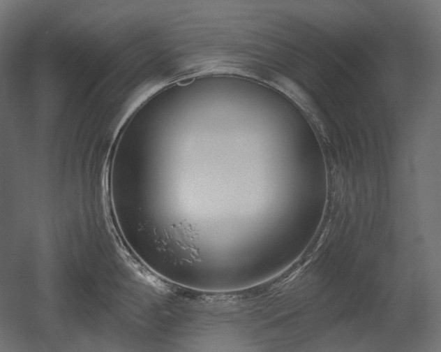 X0000052631198200507011312
