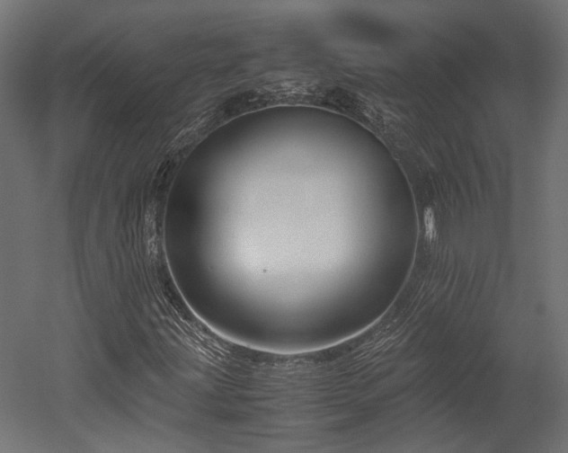 X0000052631203200507011311