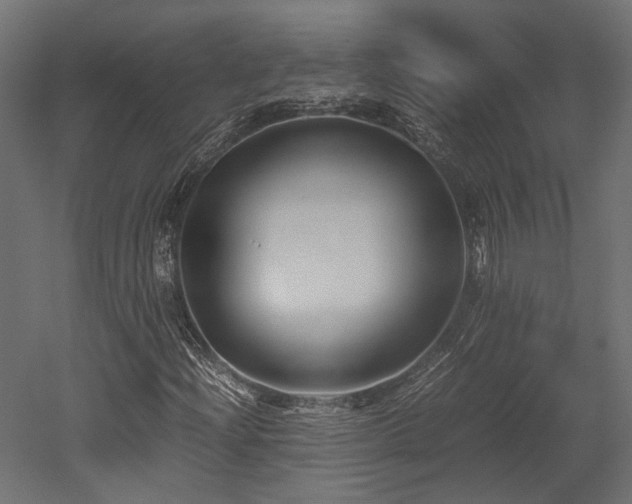X0000052631204200507011311