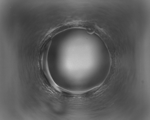 X0000052631206200507011311