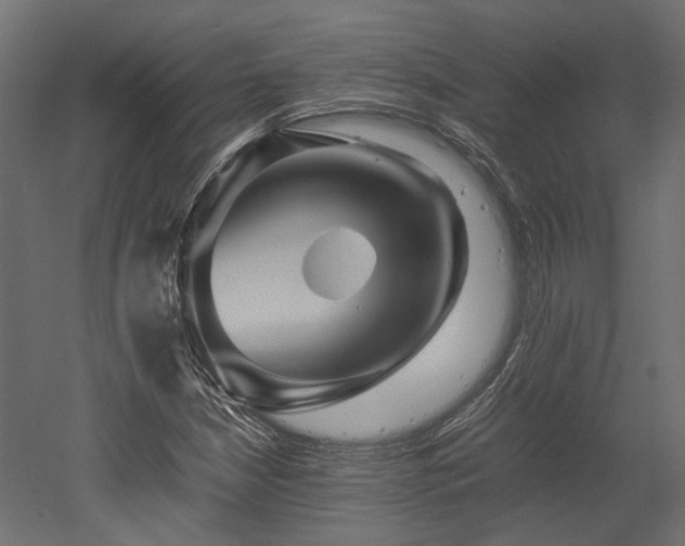X0000052631210200507011311