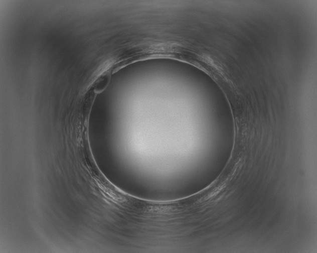 X0000052631211200507011311