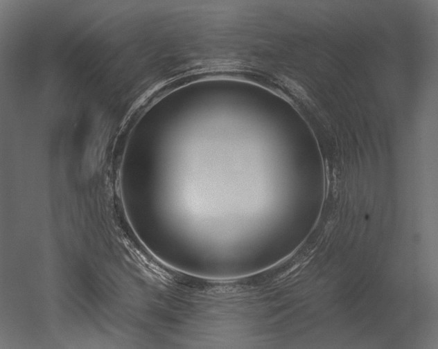 X0000052631212200507011311