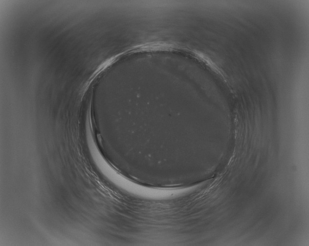 X0000052631213200507011311