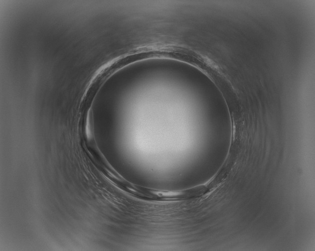 X0000052631214200507011311