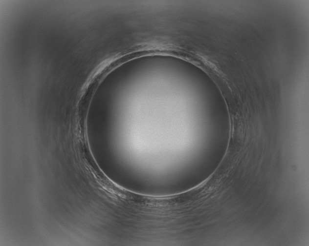X0000052631215200507011311