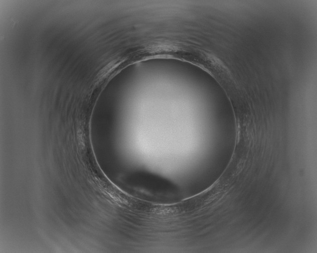X0000052631217200507011311