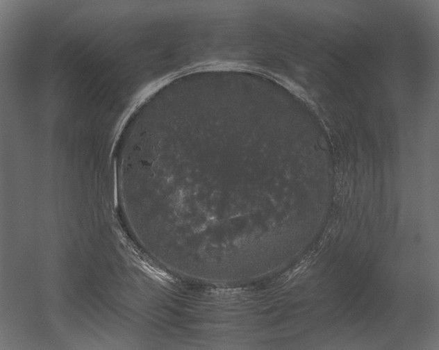 X0000052631223200507011311