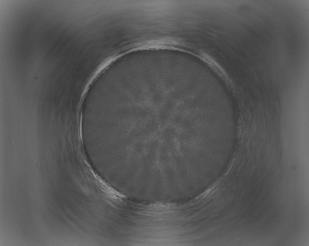X0000052631224200507011311