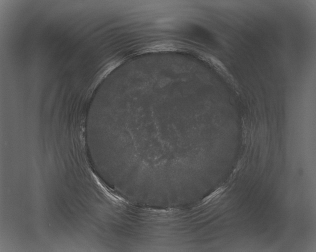 X0000052631225200507011311