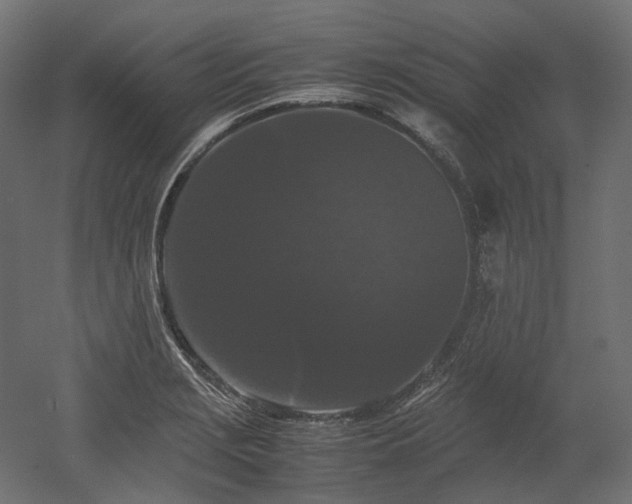 X0000052631229200507011311