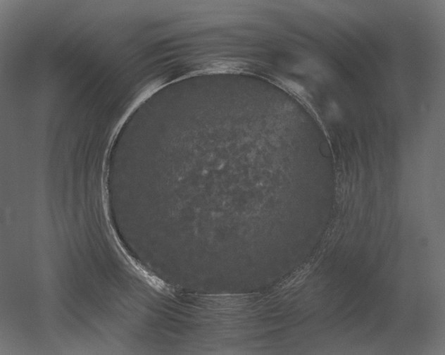 X0000052631235200507011311
