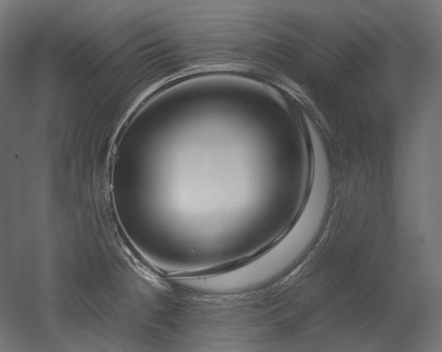 X0000052631236200507011311