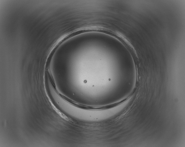 X0000052631237200507011311