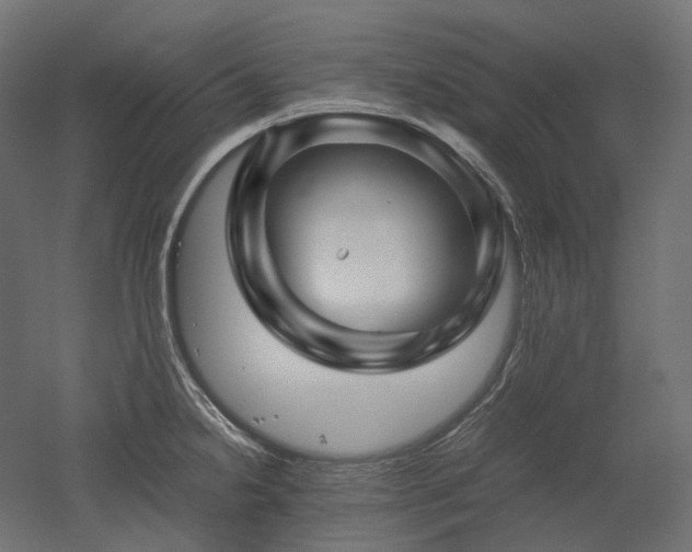 X0000052631238200507011311