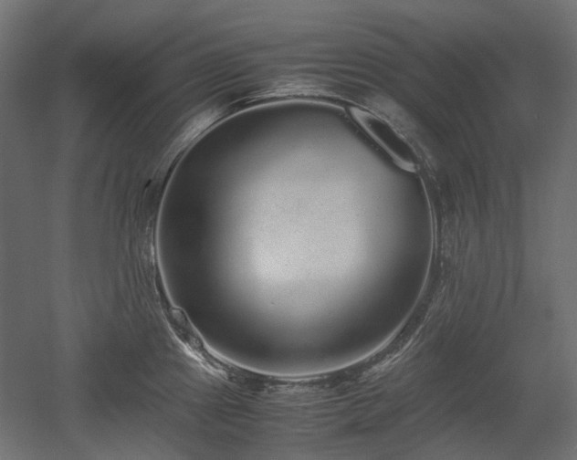 X0000052631241200507011311