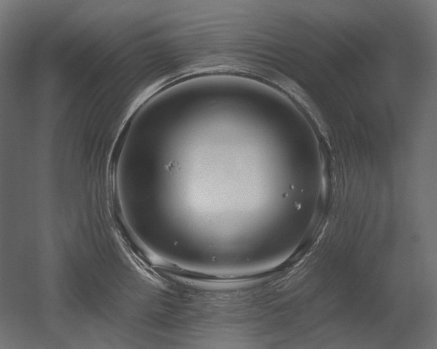 X0000052631242200507011311