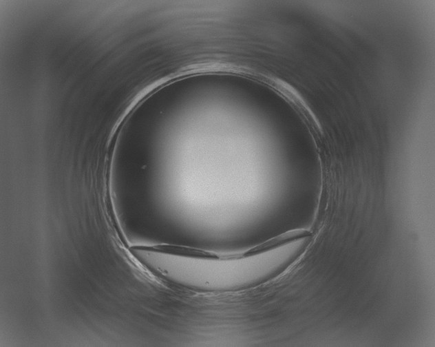 X0000052631244200507011311