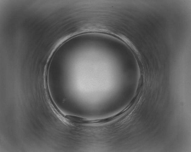 X0000052631246200507011312
