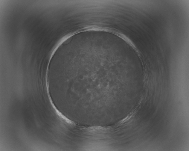 X0000052631247200507011312