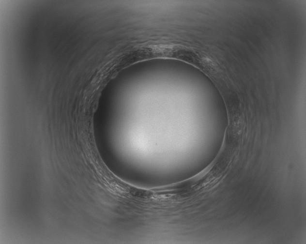 X0000052631249200507011311