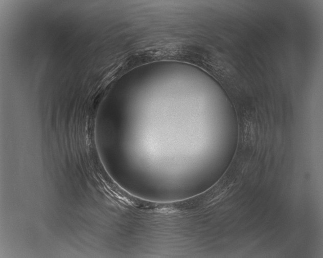 X0000052631250200507011311