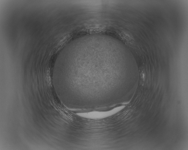 X0000052631252200507011311