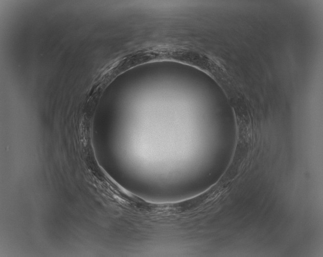 X0000052631253200507011311