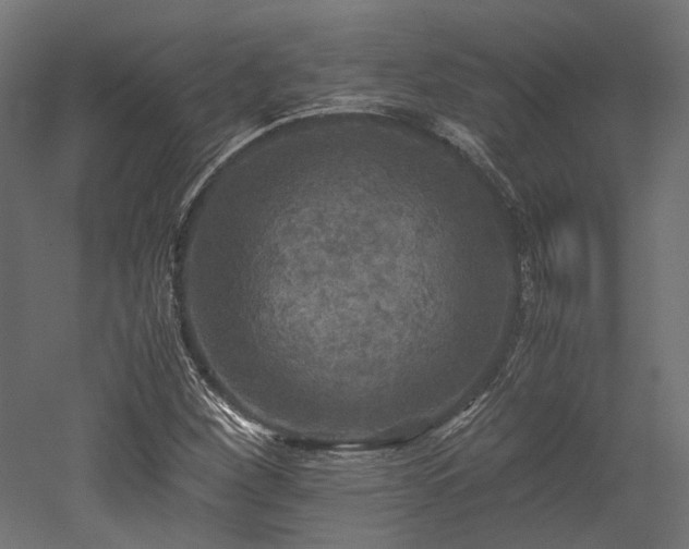 X0000052631260200507011311