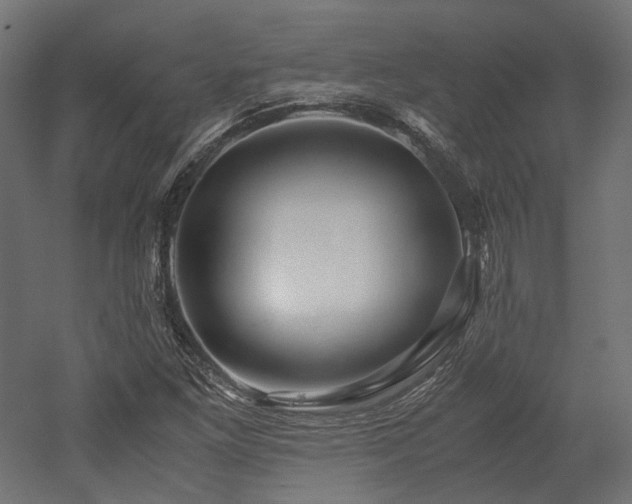 X0000052631261200507011311
