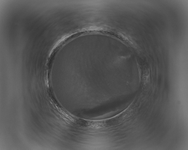 X0000052631262200507011311