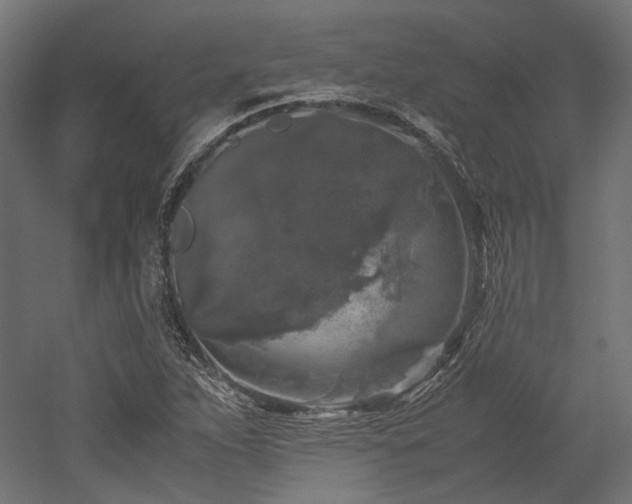 X0000052631263200507011310