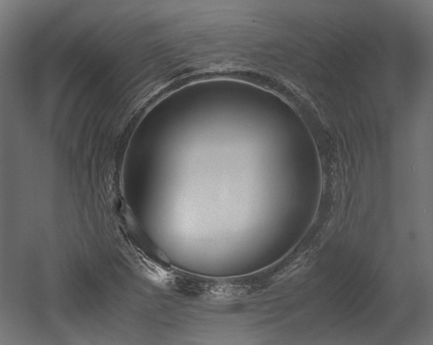 X0000052631265200507011310