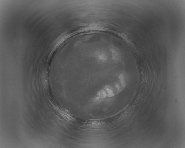 X0000052631266200507011310