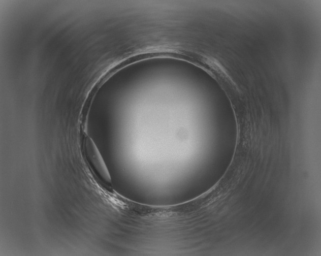 X0000052631268200507011310