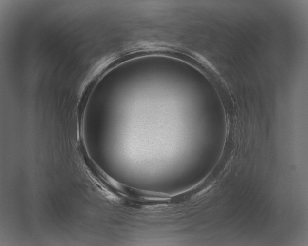 X0000052631269200507011310